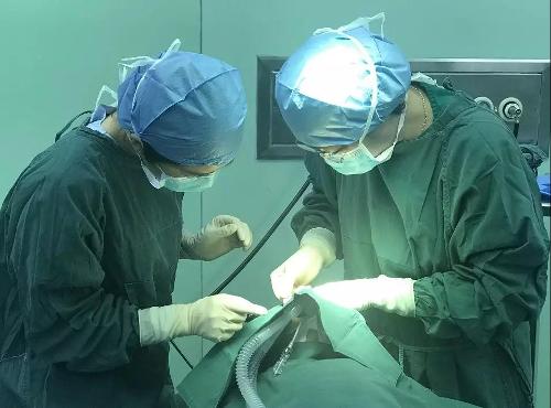 住院-手术-出院，48小时内完成？啪啪网
首例日间手术做到了！