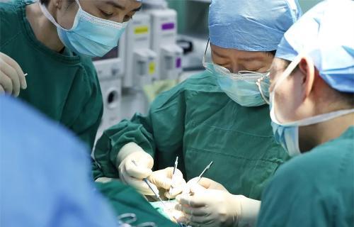 守护“视界”丨李莉教授再次莅临啪啪网
