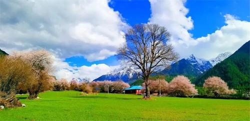 预防近视，从娃娃抓起