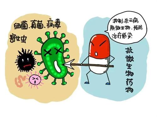 抗微生物药物，应该这样用！
